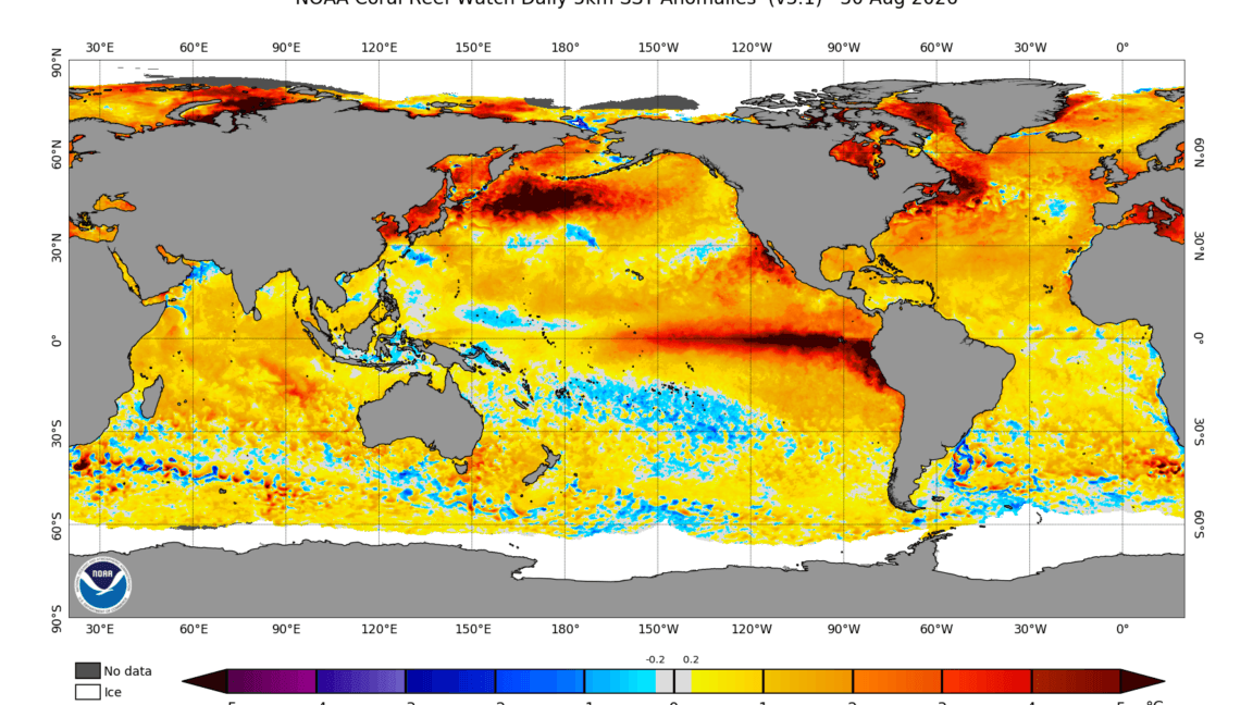 El Niño is now stronger than at any point in the last 1,000 years, study finds