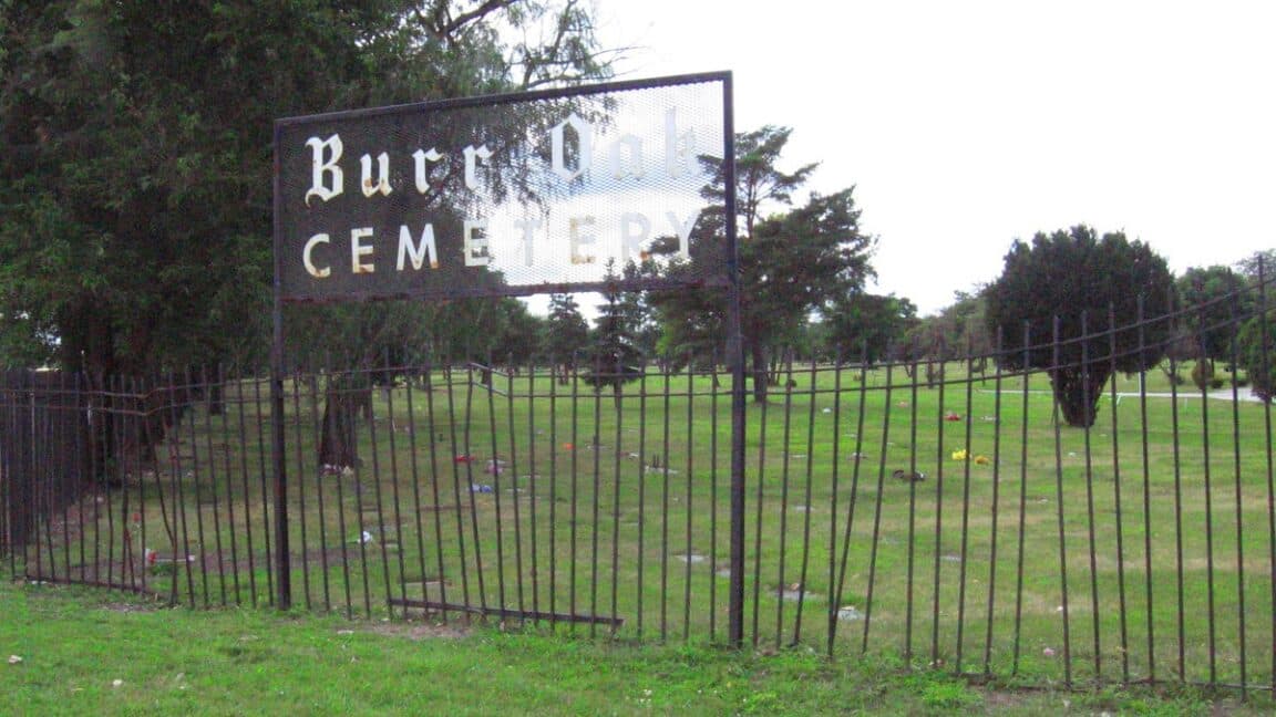 How moss helped convict grave robbers of a Chicago cemetery
