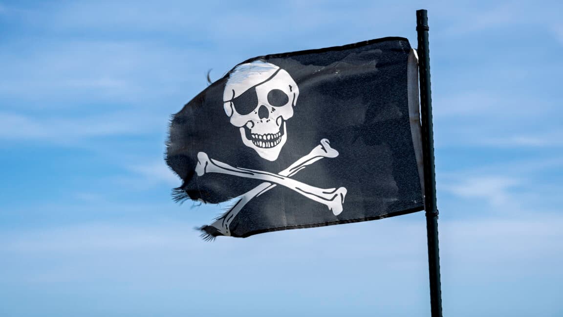 Authors' lucky break in court may help class action over Meta torrenting