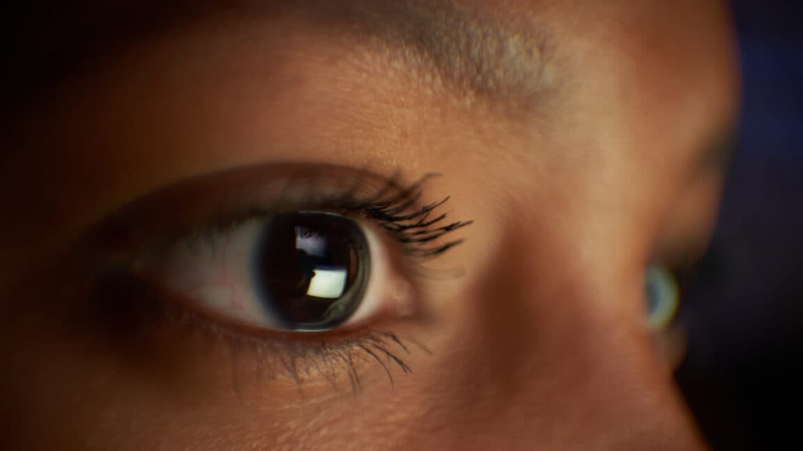 Why are vertebrate eyes so different from those of other animals?