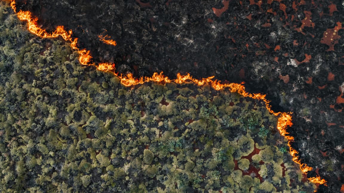 Senators demand crackdown on wildfire "prediction market" bets