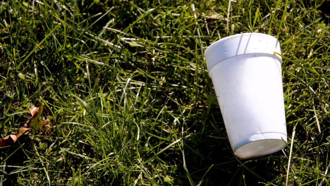 Your empty cuppa could capture carbon