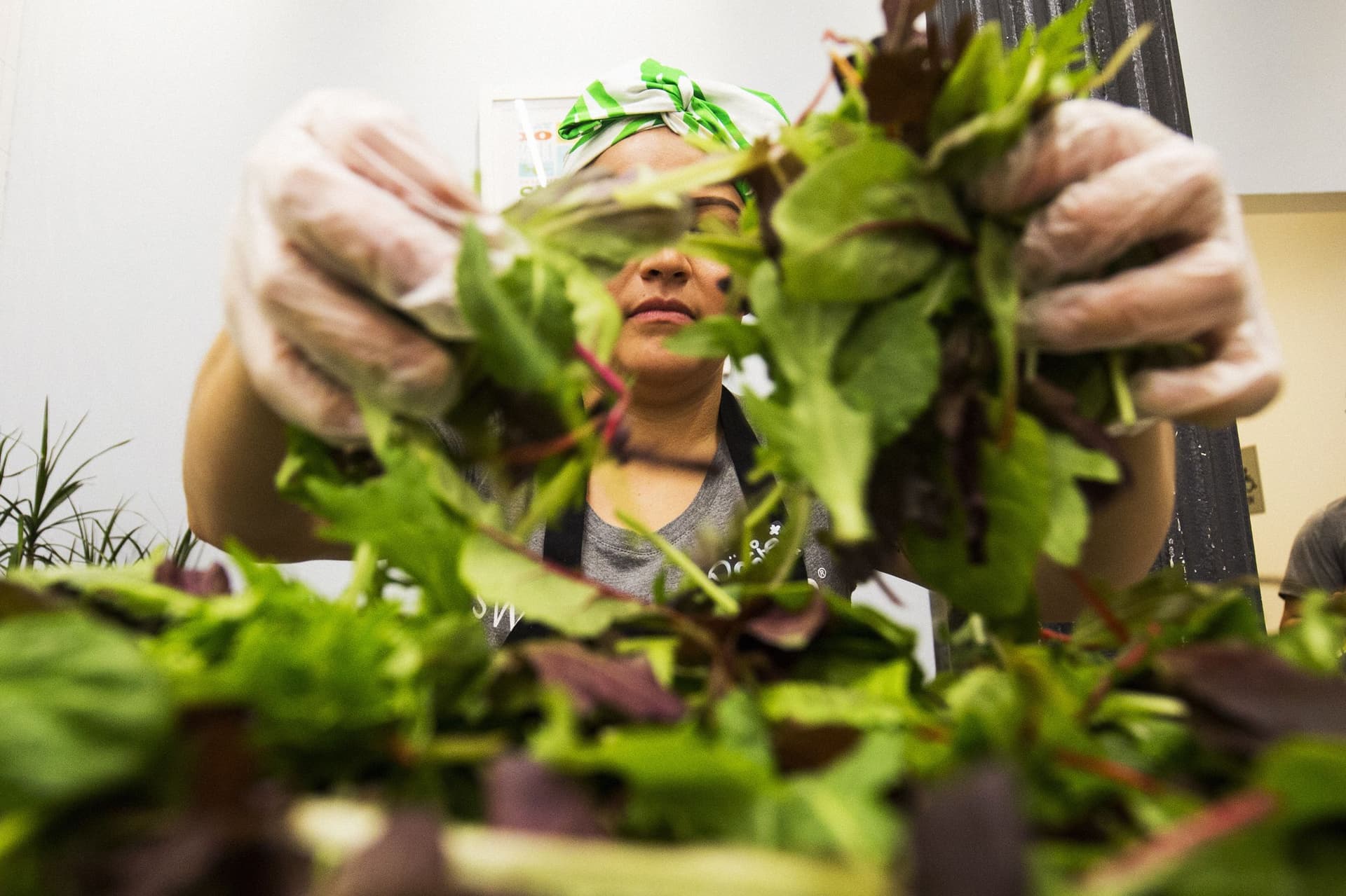 Salad Chains Are Seeing Foot Traffic Drop Over Cyclosporiasis Fears