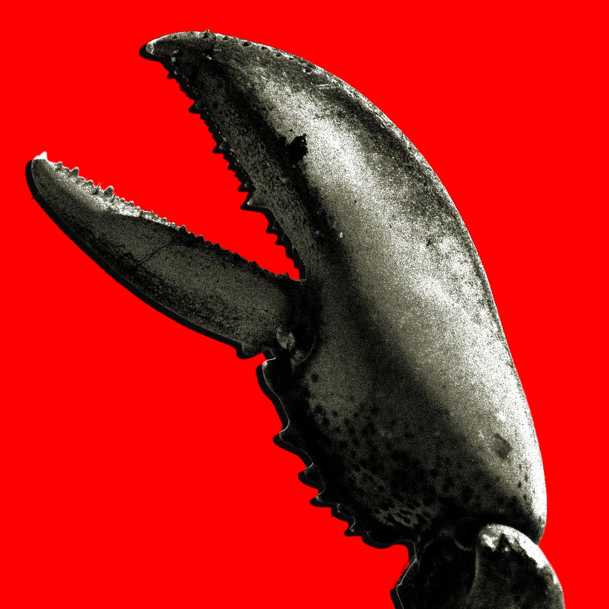 China’s OpenClaw Boom Is a Gold Rush for AI Companies